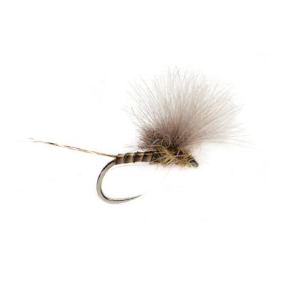 CdC Olive Quill Barbless