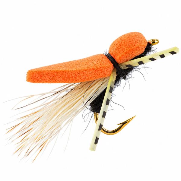 Bumble Orange Black