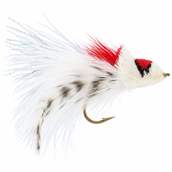 Dahlberg Diver
