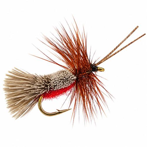 Goddard Corps Rouge