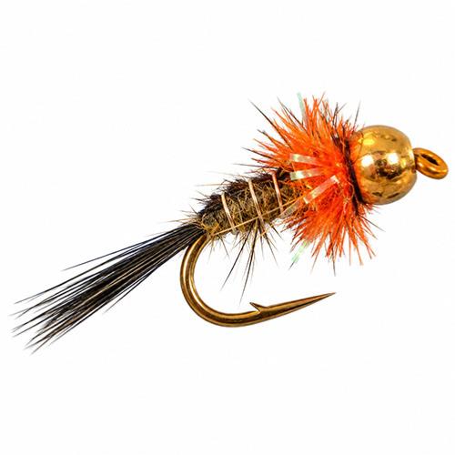La big Nymphe Fritz Orange