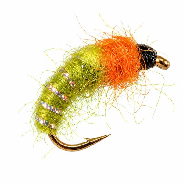 Nymphe Cul vert Orange