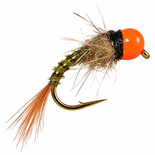 Tungstène Olive Biot