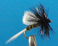 Moucheron Midge