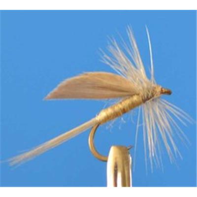 Ornans Blanche Hackle