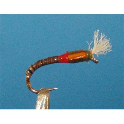 Chiro Buzzer Quill Olive