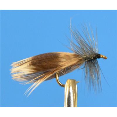 Sedge Canne Barbless