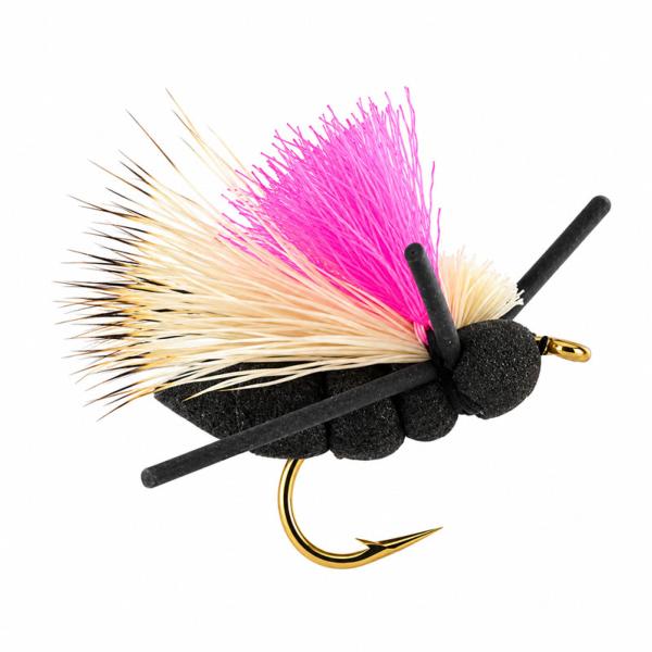 Baby Boy Cricket HV