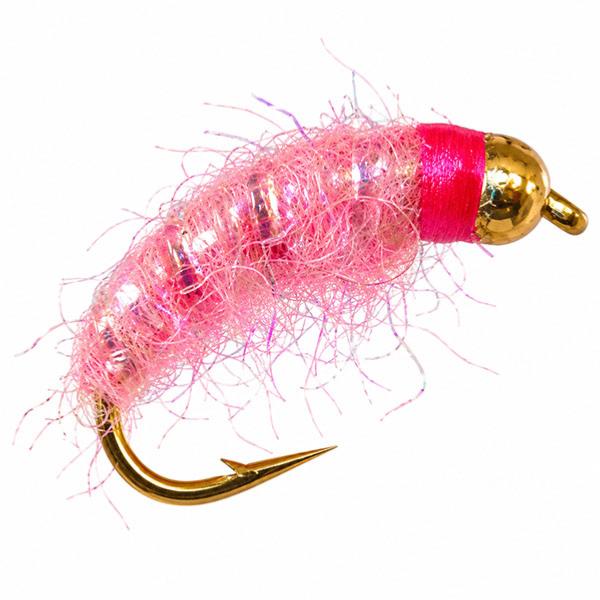 Gammare Rose Tête Casqué