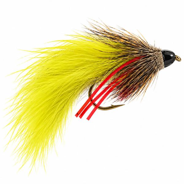 Muddly Zonker Jaune