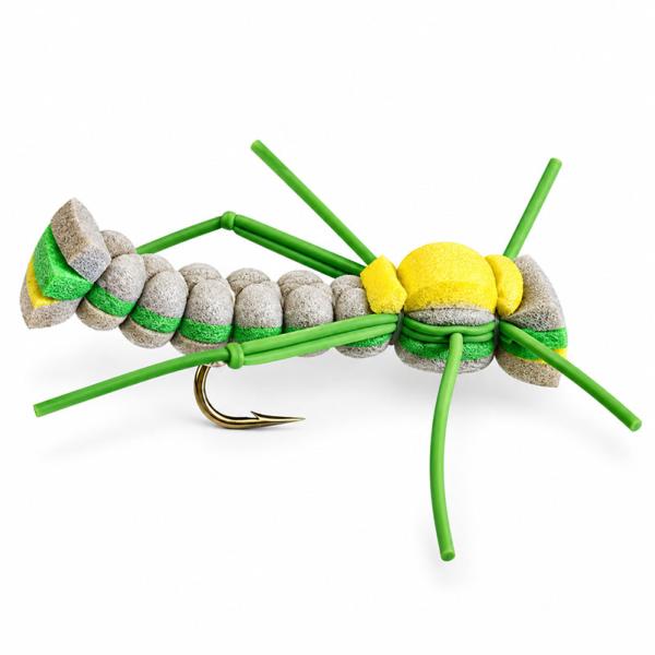 Stonefly Sauterelle