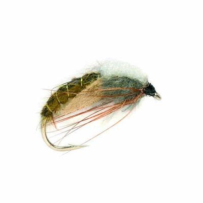 Sedge Emergent Olive