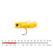 Sauterelle Jaune