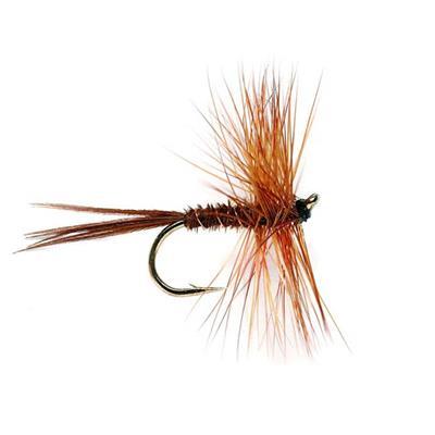 Pheasant Tail