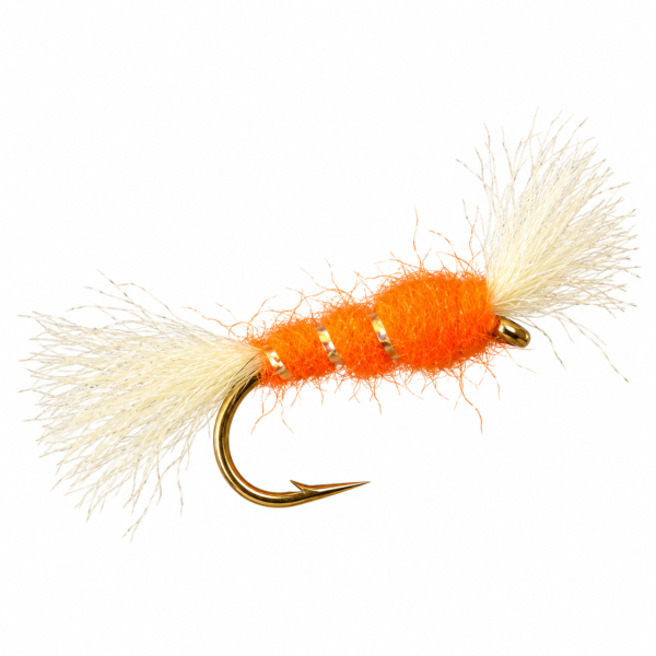 Shipman's Buzzer Orange
