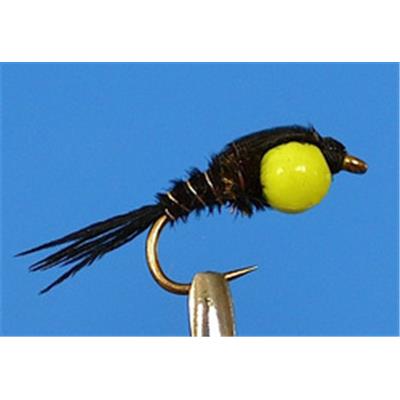 Tungstène Pheasant Noire Tête Jaune