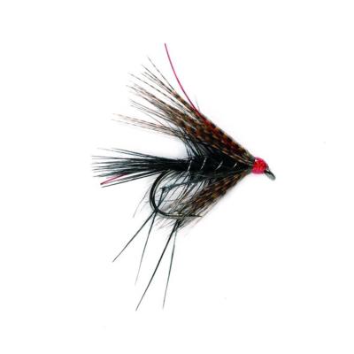 Dabbler Black Leggy