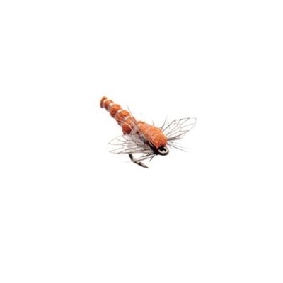 Midge Orange