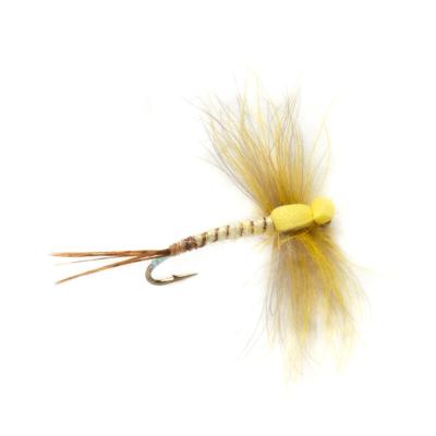 Procter's Stillborn Mayfly