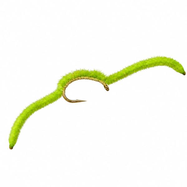 San Juan Worm Chartreux