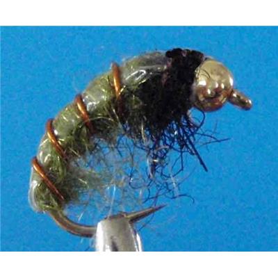 Gammare Caddis