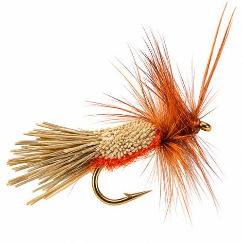 Goddard Corps Orange