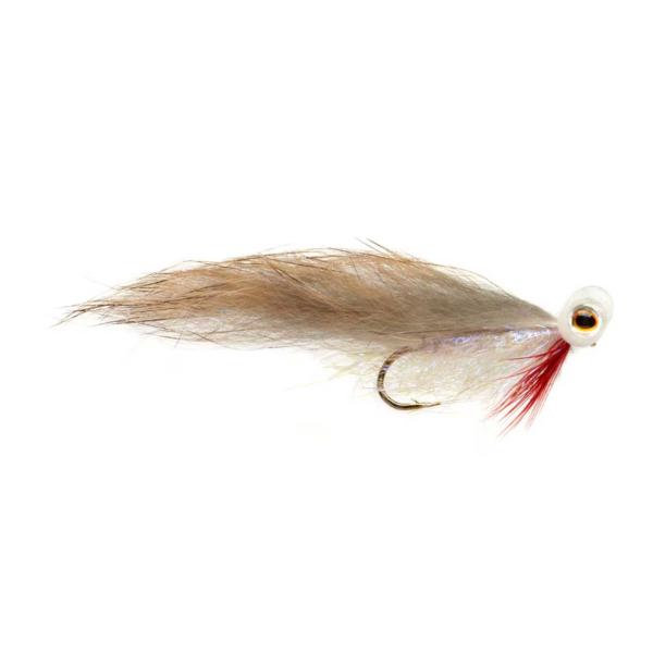 Rob's Minky Booby Roach