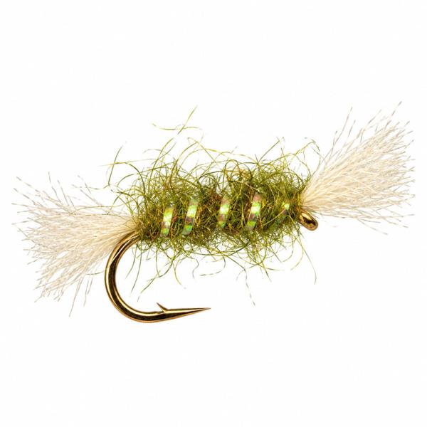 Shipman's Buzzer Olive