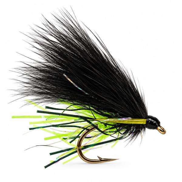 Cormorant Viva