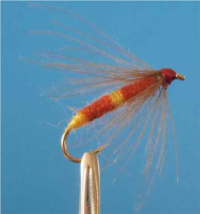 Caddis Noye