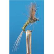 Comparadun Quill Olive