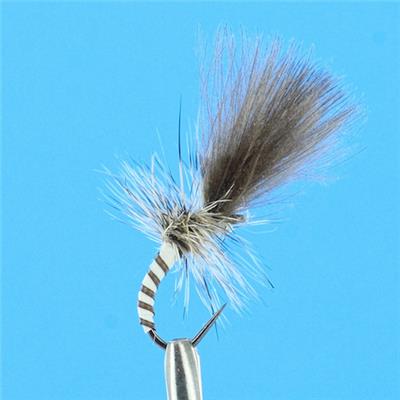 Emerg Naturel Quill CDC