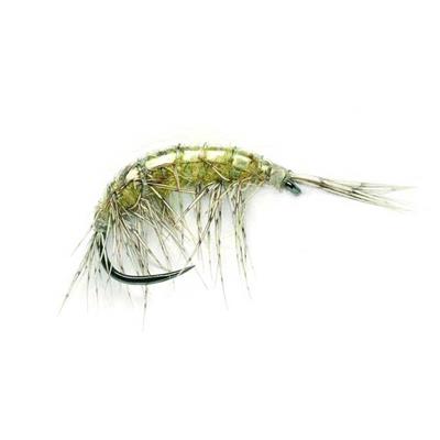 Freshwater Shrimp Barbless