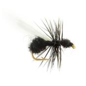 Fourmi Ailée Noire