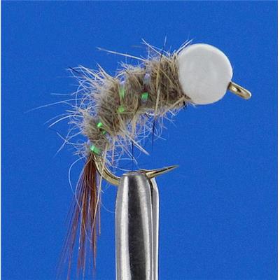 Caddis Orl Blanche