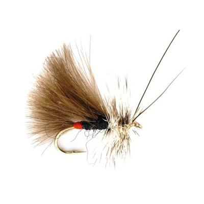 Sedge High Rider CdC Noir