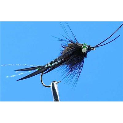 Stonefly Green Black