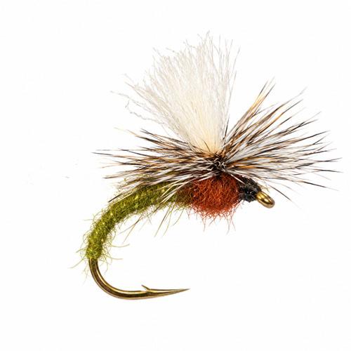 Parachute Olive Roux