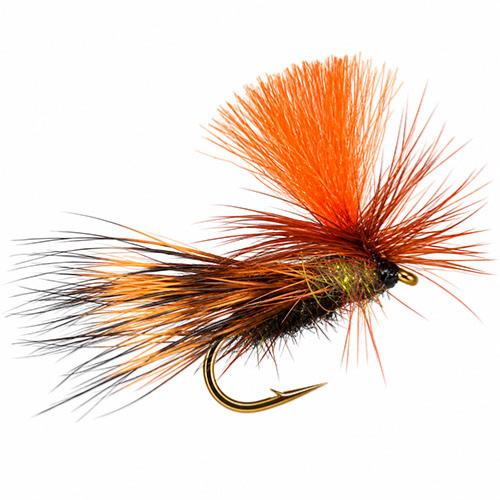 Parasedge Foncé Barbless