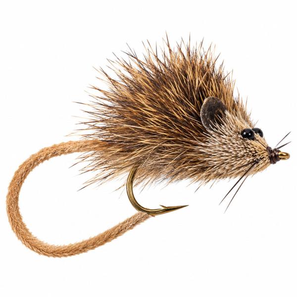 Petit Rat Musqué