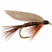 Pheasant Tail Std