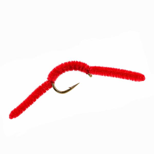 San Juan Worm