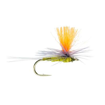 Blue Winged Olive Parachute Spot On