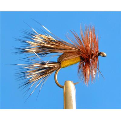 Humpy Sedge