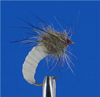 Caddis Livre