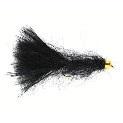 Leech Black Gold