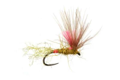 Juglaret's Red Flash Mayfly Sub