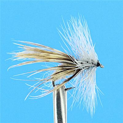 Sedge Peute Barbless