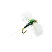 Spent Midge