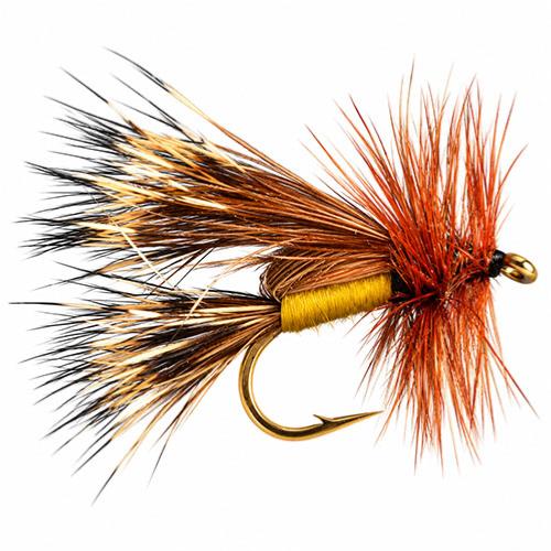 Humpy Sedge
